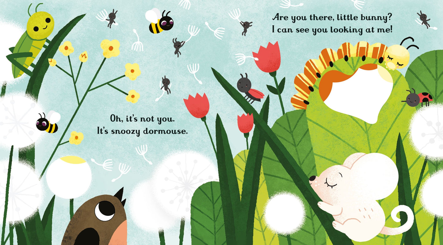 Carte copii - Are You There Little Bunny?, Usborne