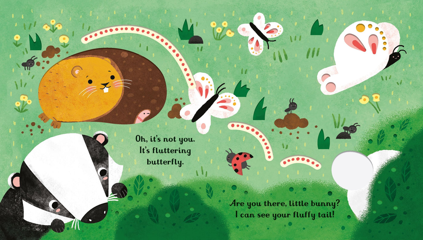 Carte copii - Are You There Little Bunny?, Usborne