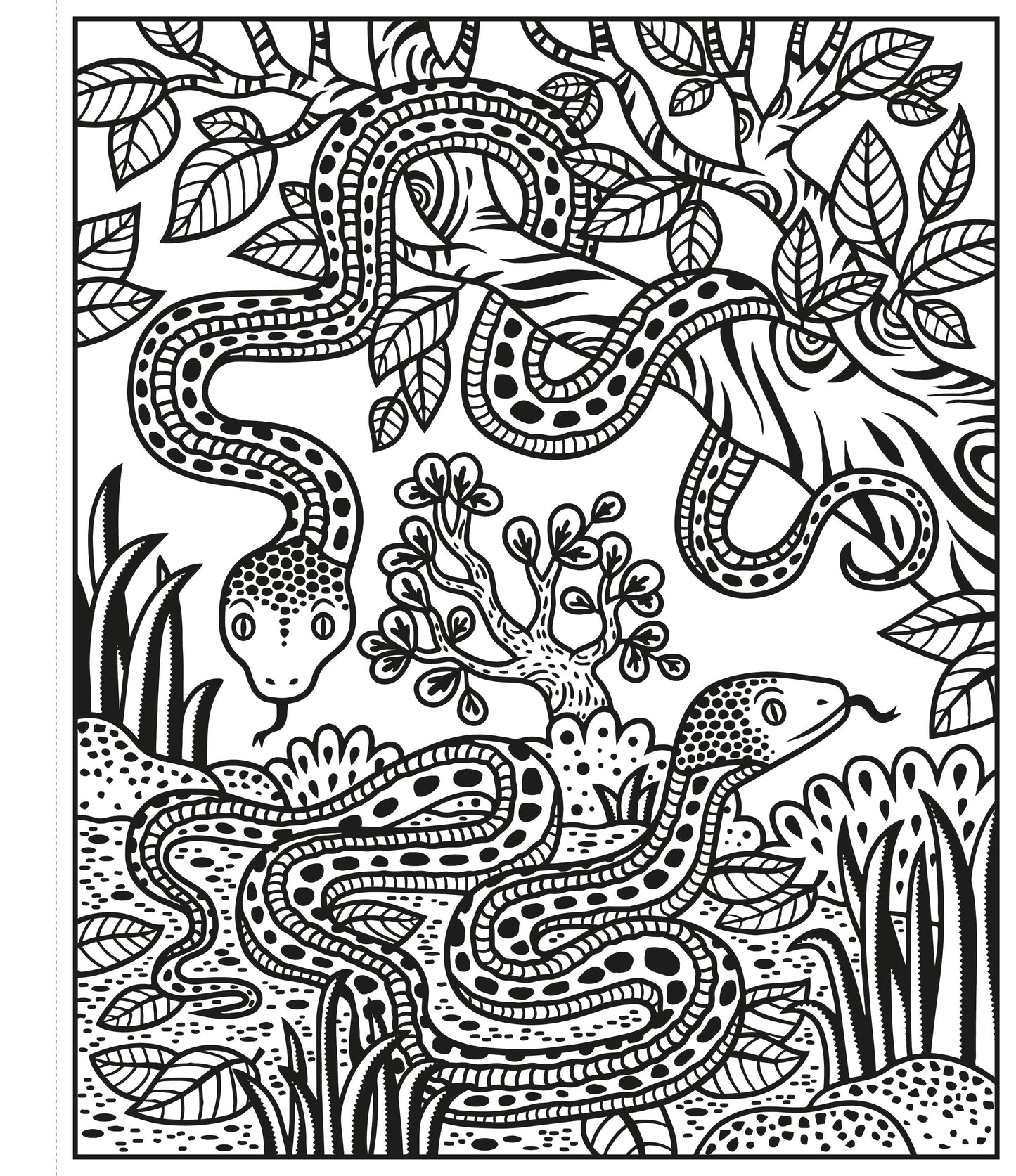 Carte pictura cu apa - Zoo Magic Painting Book, Usborne