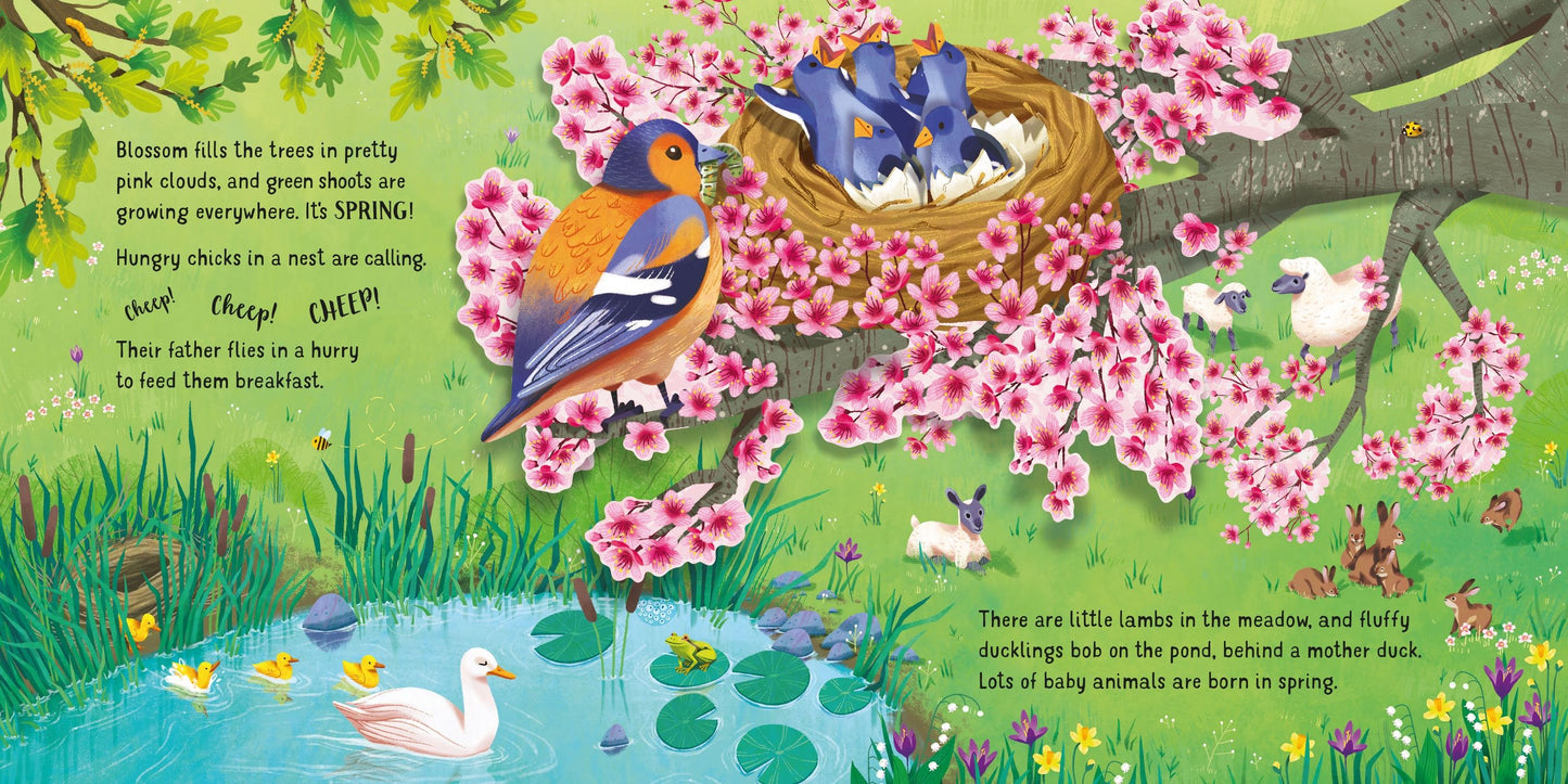 Carte 3D - Pop-Up Seasons, Usborne