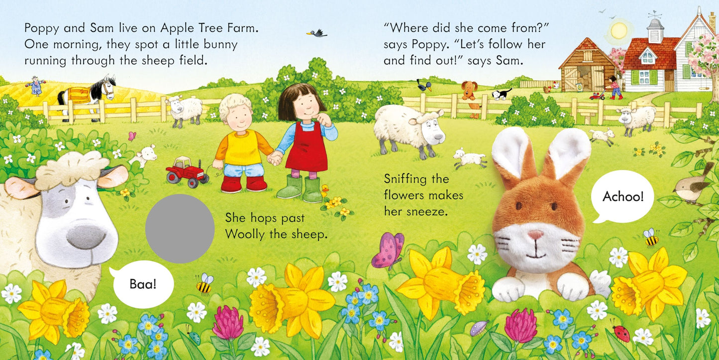 Carte cu marioneta - Poppy and Sam and the Bunny, Usborne