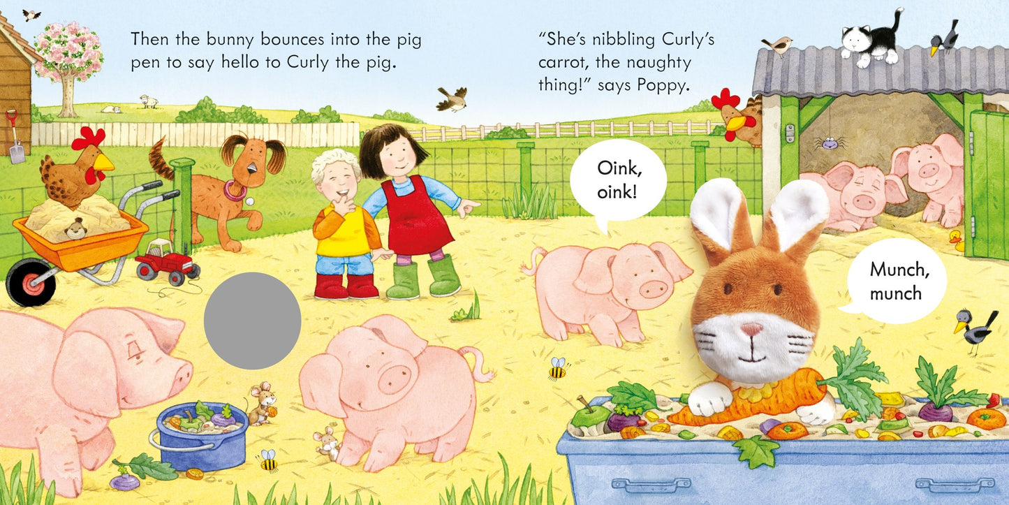 Carte cu marioneta - Poppy and Sam and the Bunny, Usborne