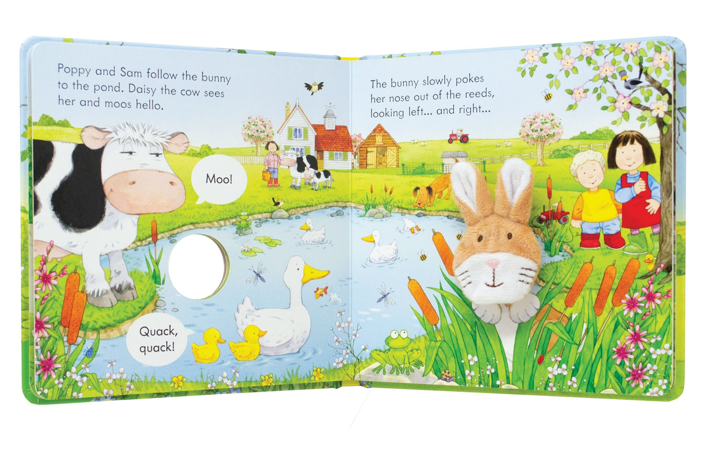 Carte cu marioneta - Poppy and Sam and the Bunny, Usborne