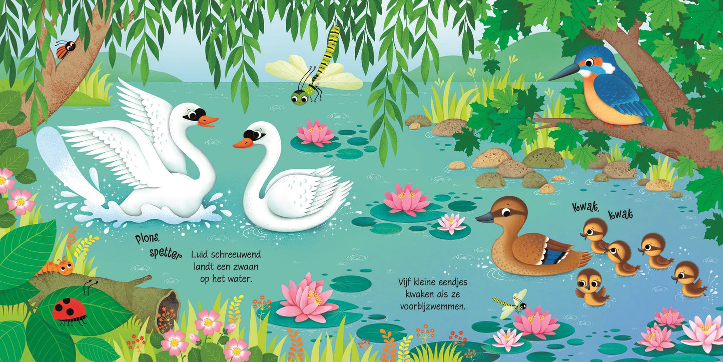Carte sunete - Bird Sounds, Usborne