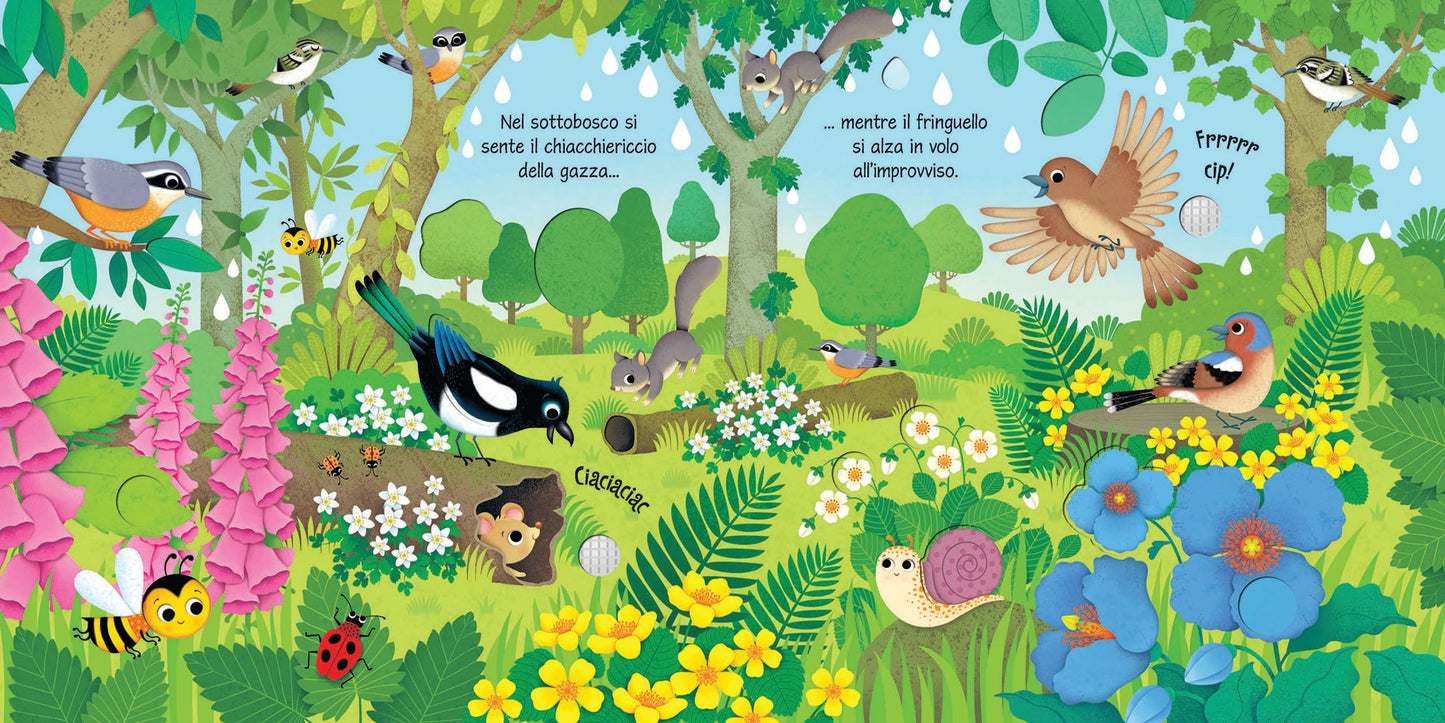Carte sunete - Bird Sounds, Usborne