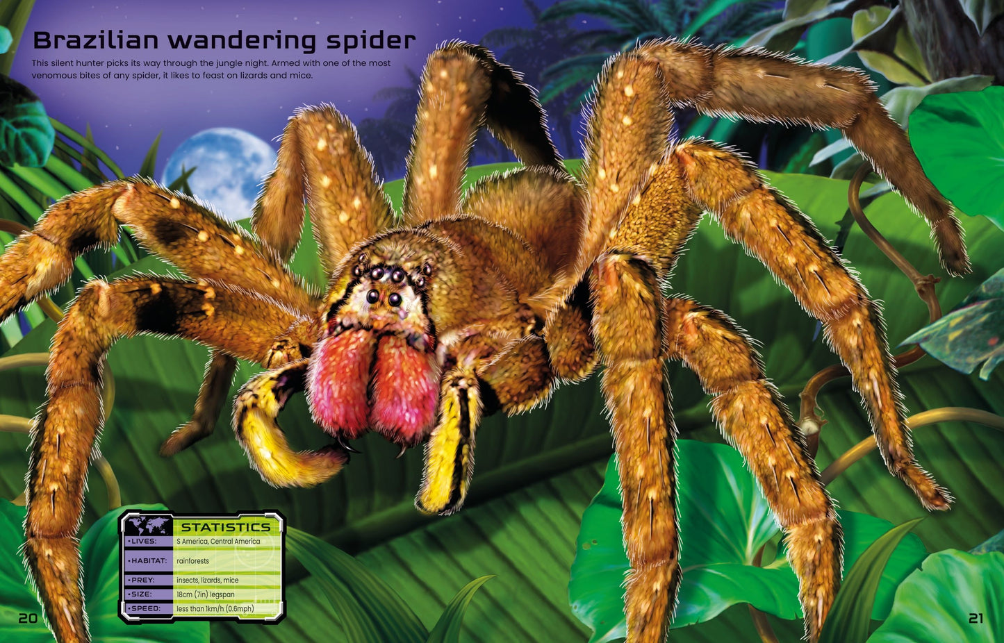 Carte stickere - Build Your Own Deadly Animals, Usborne