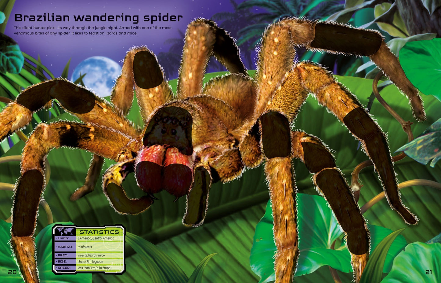 Carte stickere - Build Your Own Deadly Animals, Usborne
