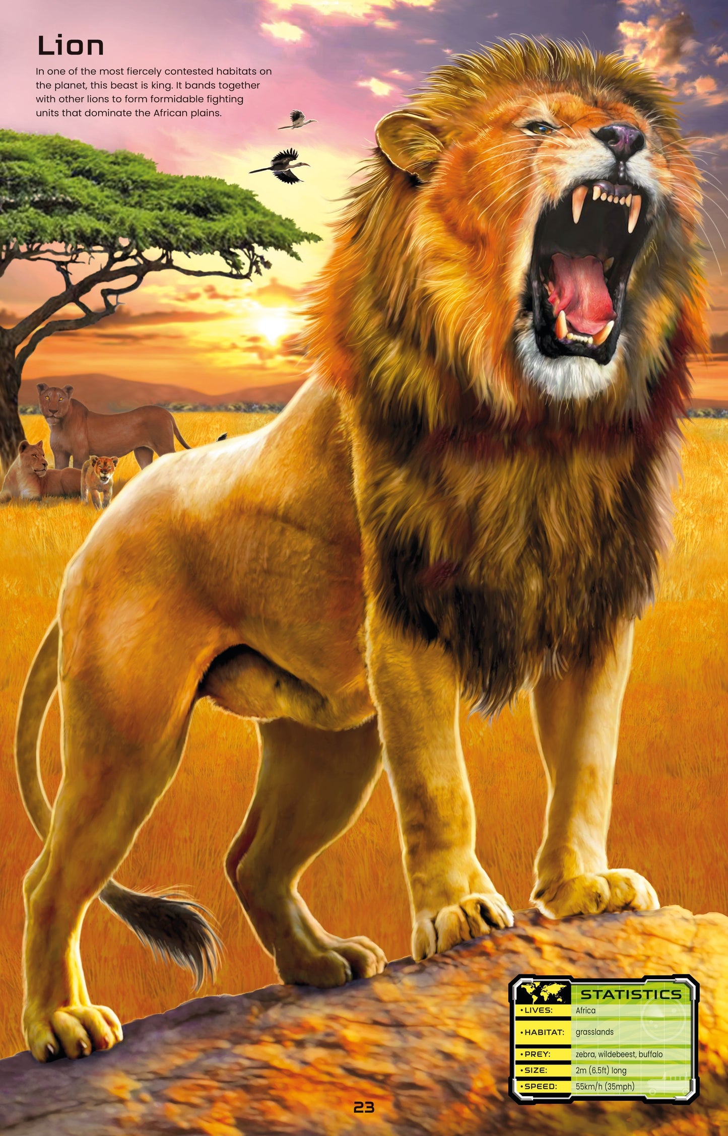 Carte stickere - Build Your Own Deadly Animals, Usborne