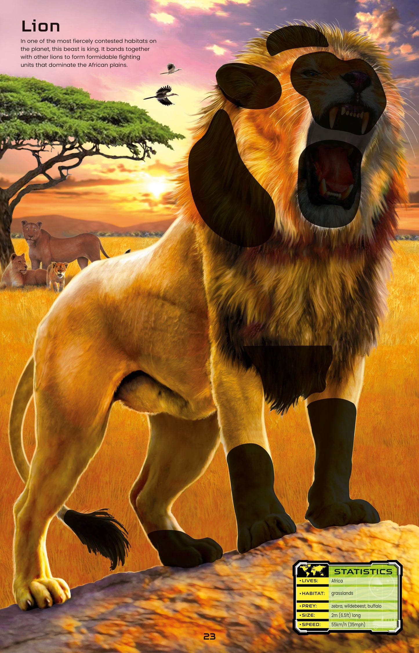 Carte stickere - Build Your Own Deadly Animals, Usborne