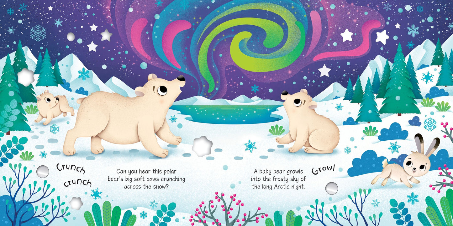Carte cu sunete - Arctic Animals Sound Book, Usborne