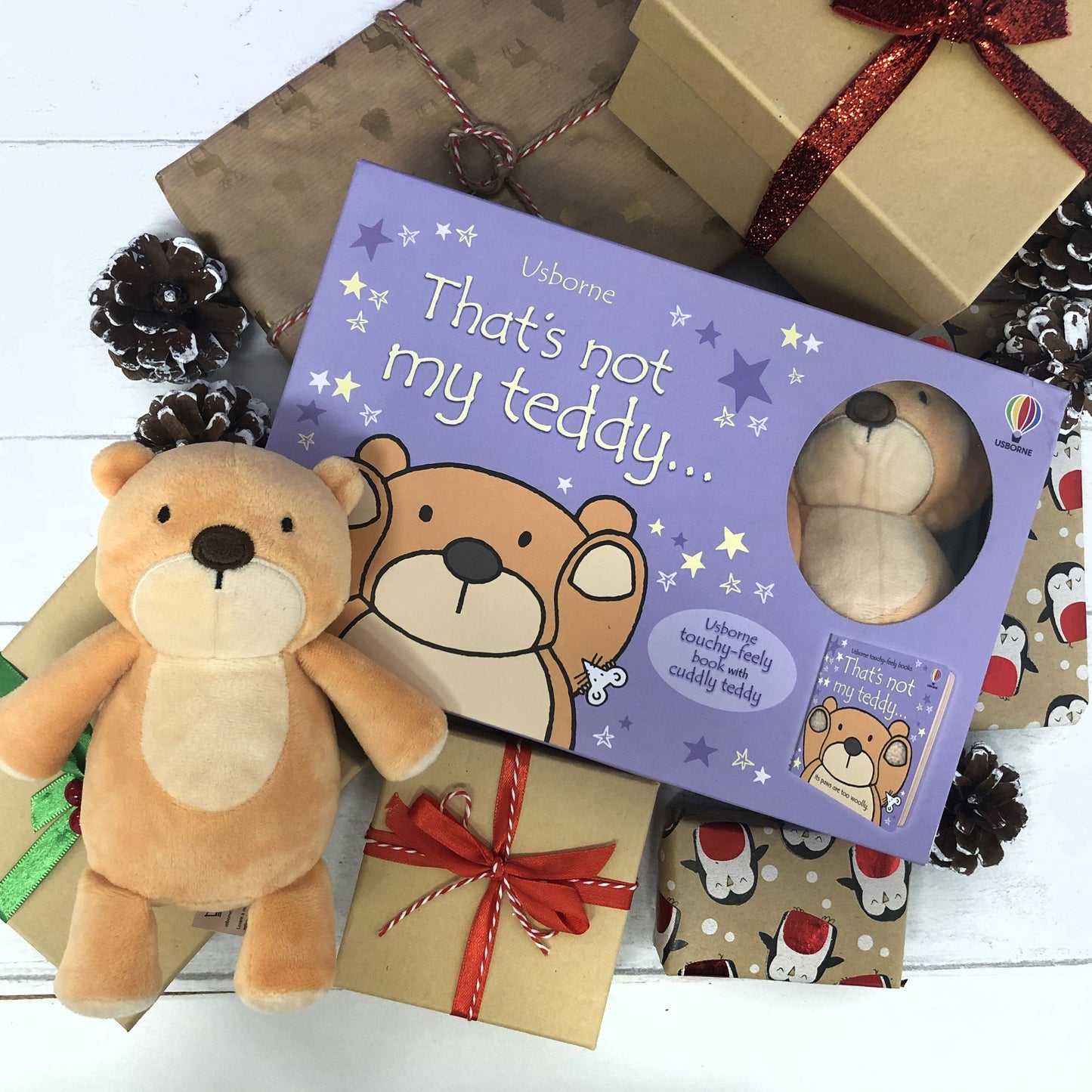 Carte copii - That's not my teddy...book and toy, Usborne