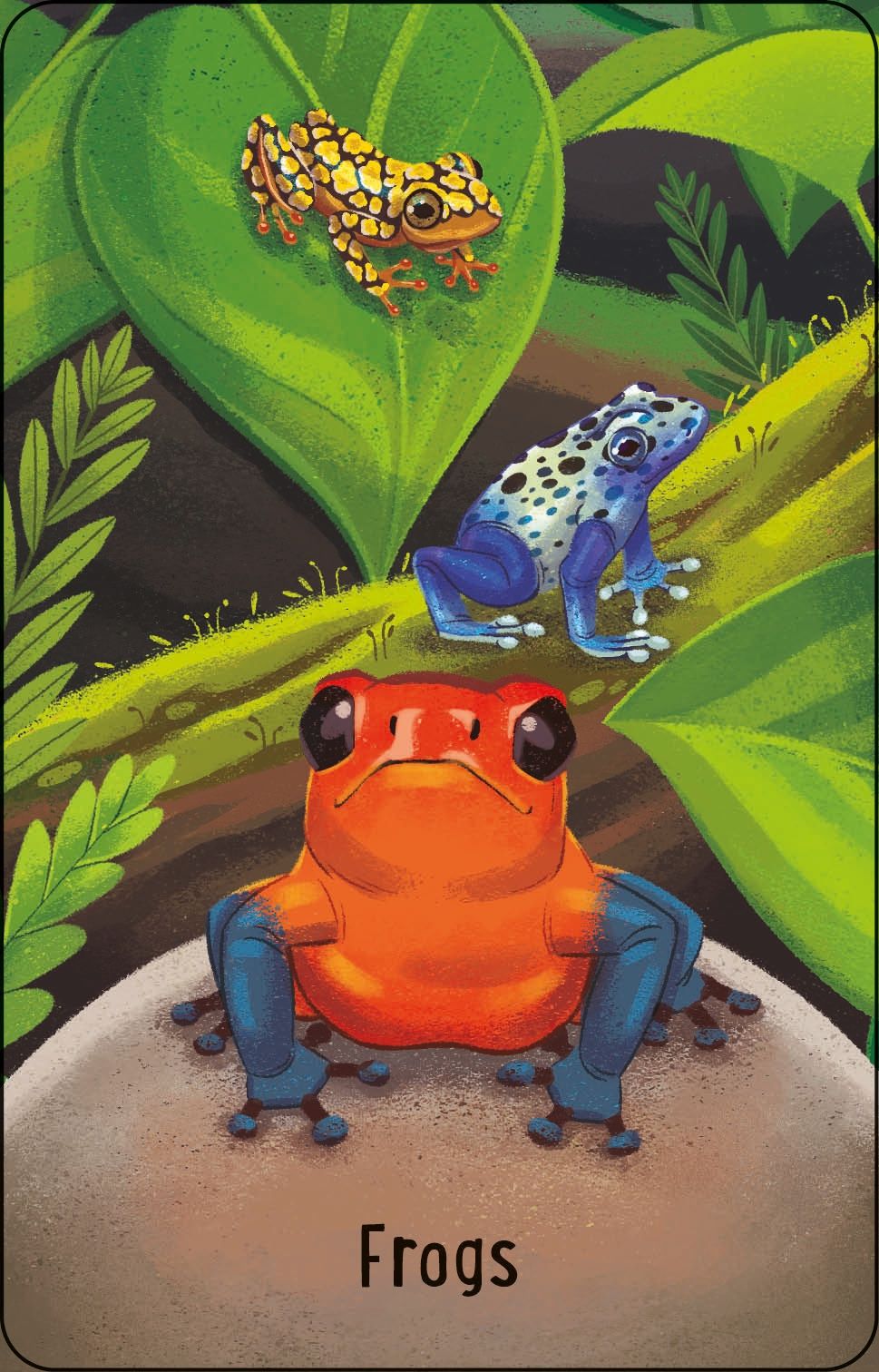 Carte copii - Zoo Snap, Usborne
