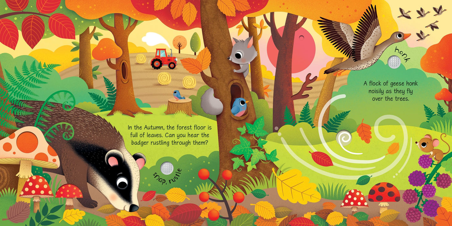 Carte sunete - Seasons Sounds, Usborne