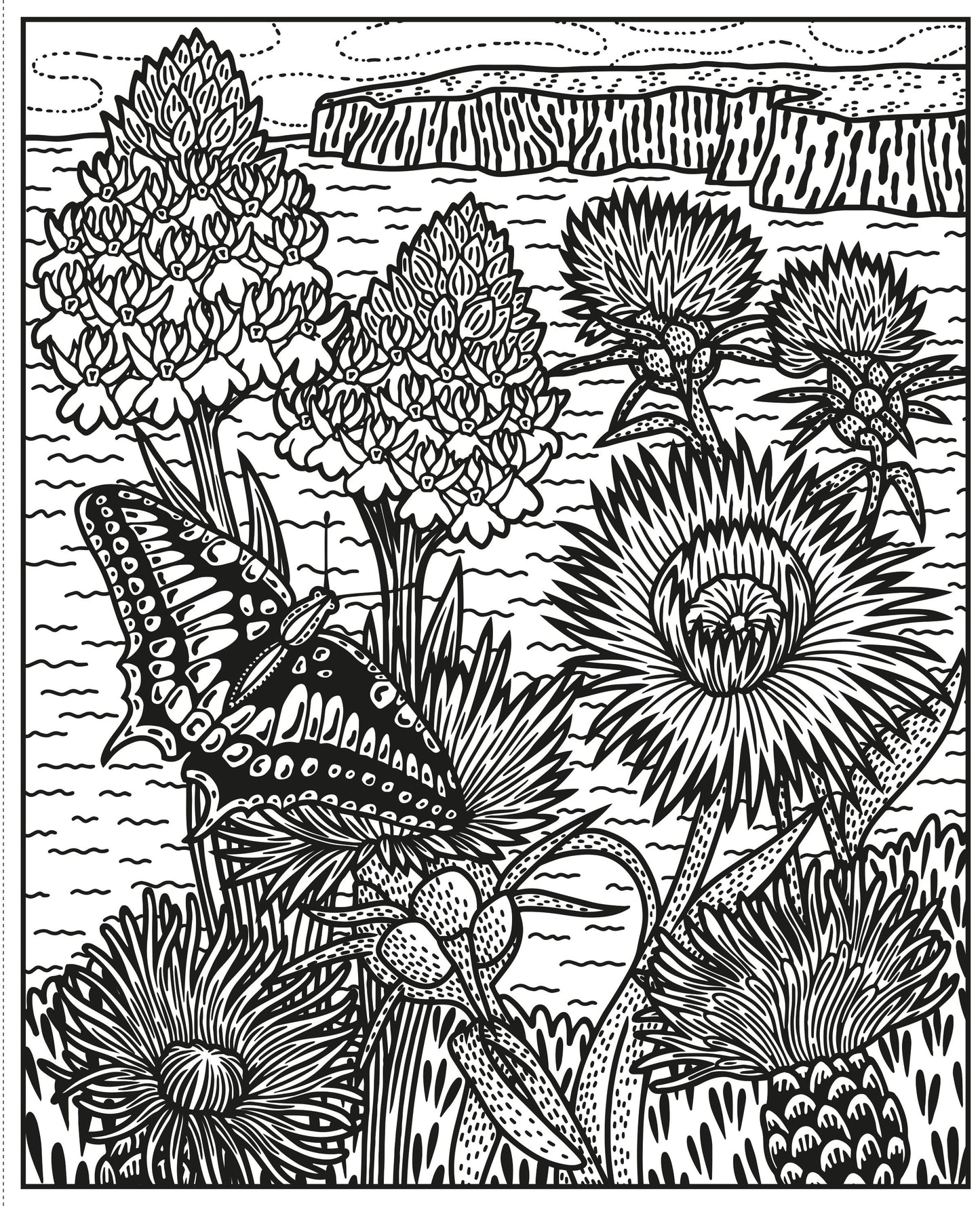 Carte pictura cu apa - Wildflowers Magic Painting Book, Usborne