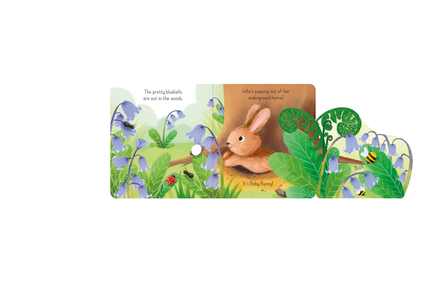 Carte clapete - Little Lift and Look Baby Bunny, Usborne