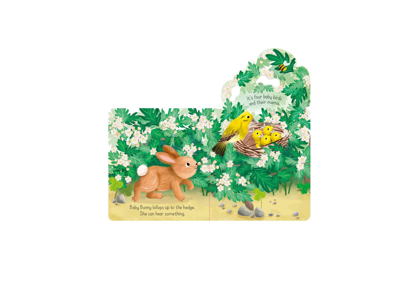 Carte clapete - Little Lift and Look Baby Bunny, Usborne