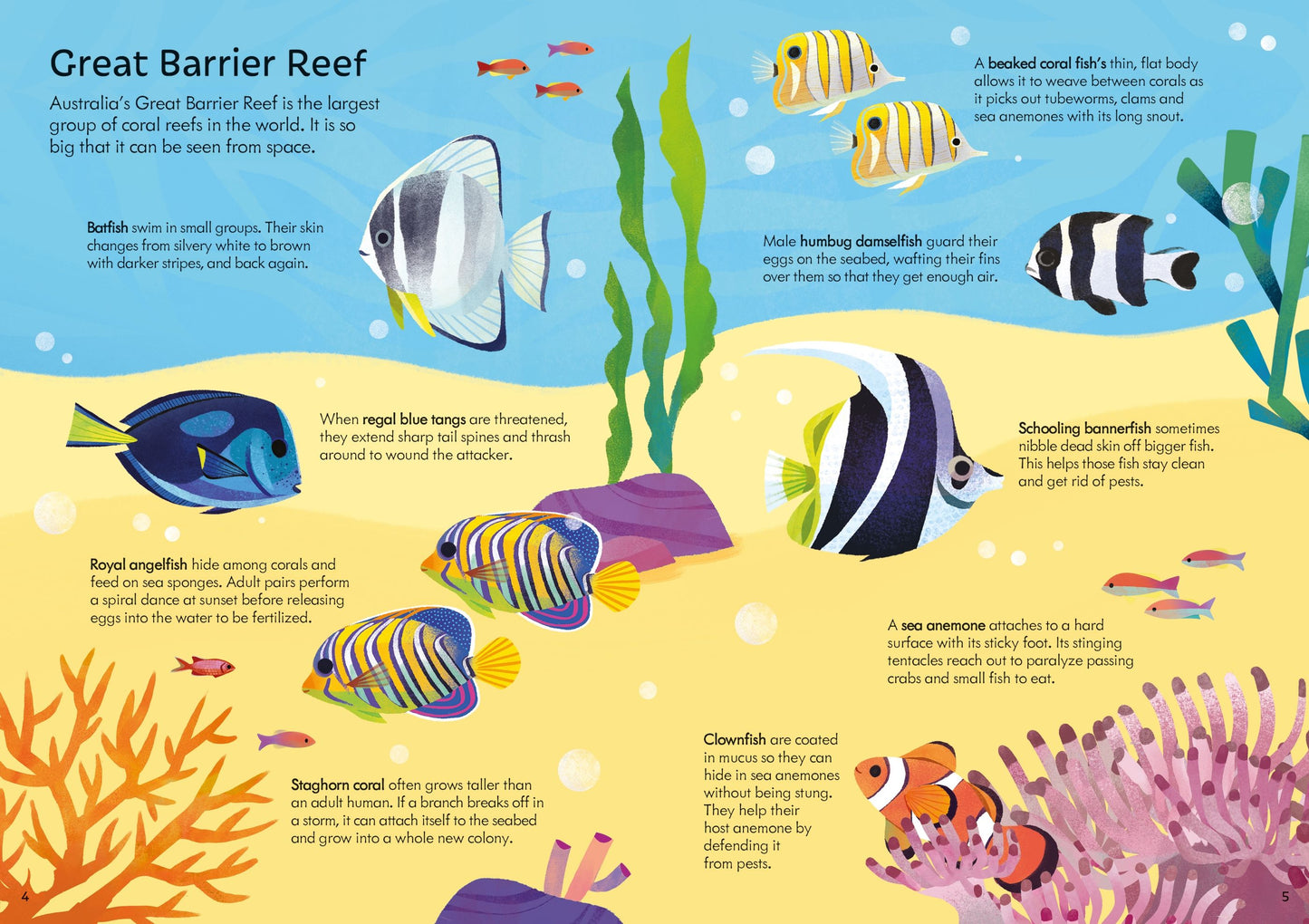 Set puzzle si carte - Usborne Book and Jigsaw Coral Reef, Usborne