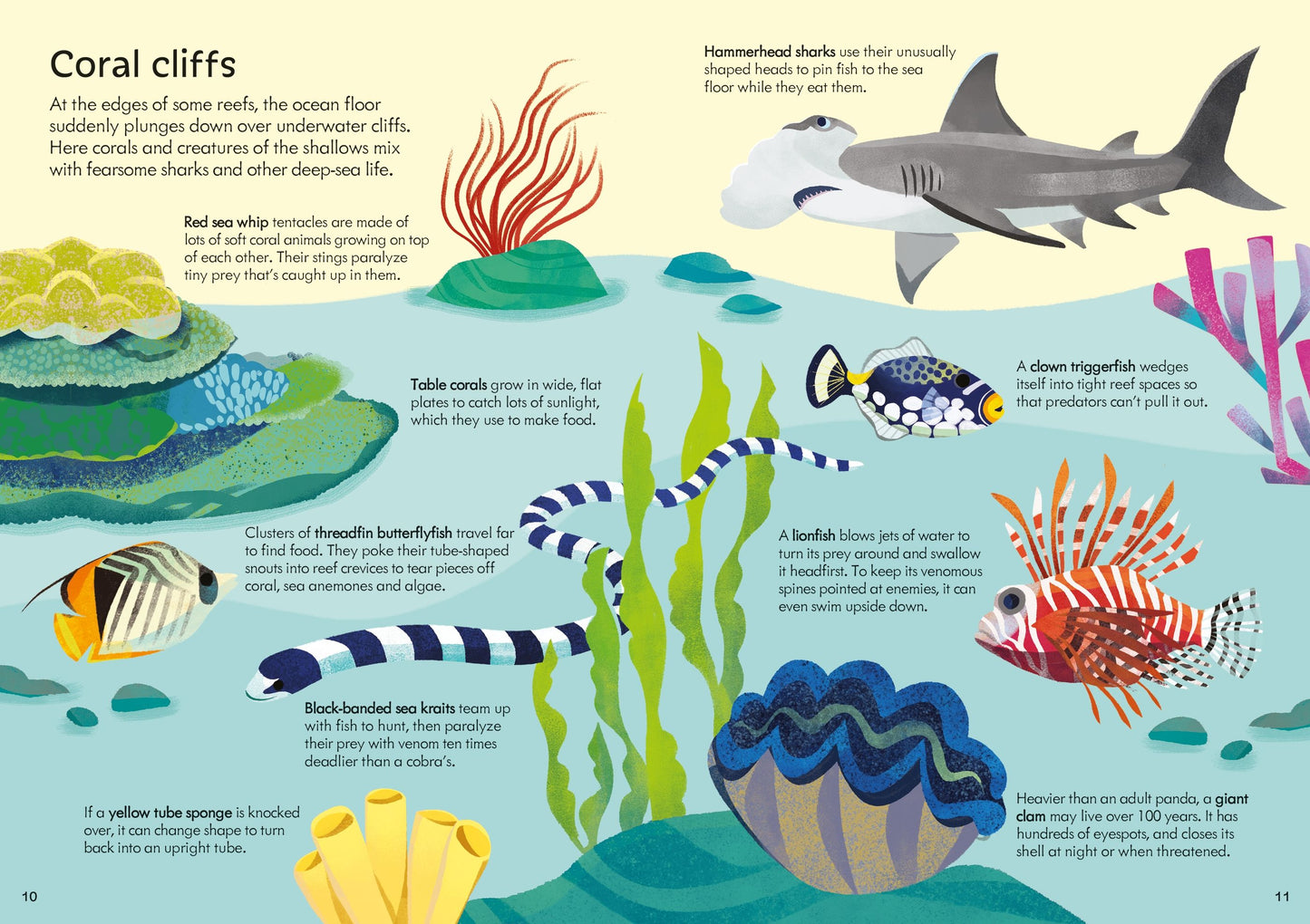 Set puzzle si carte - Usborne Book and Jigsaw Coral Reef, Usborne
