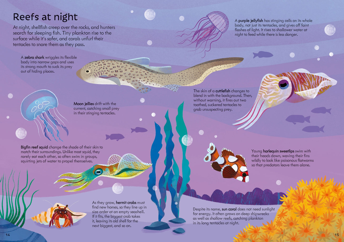 Set puzzle si carte - Usborne Book and Jigsaw Coral Reef, Usborne