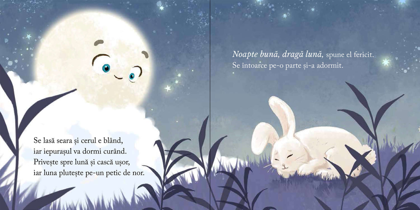 Carte copii - Noapte buna, draga Luna