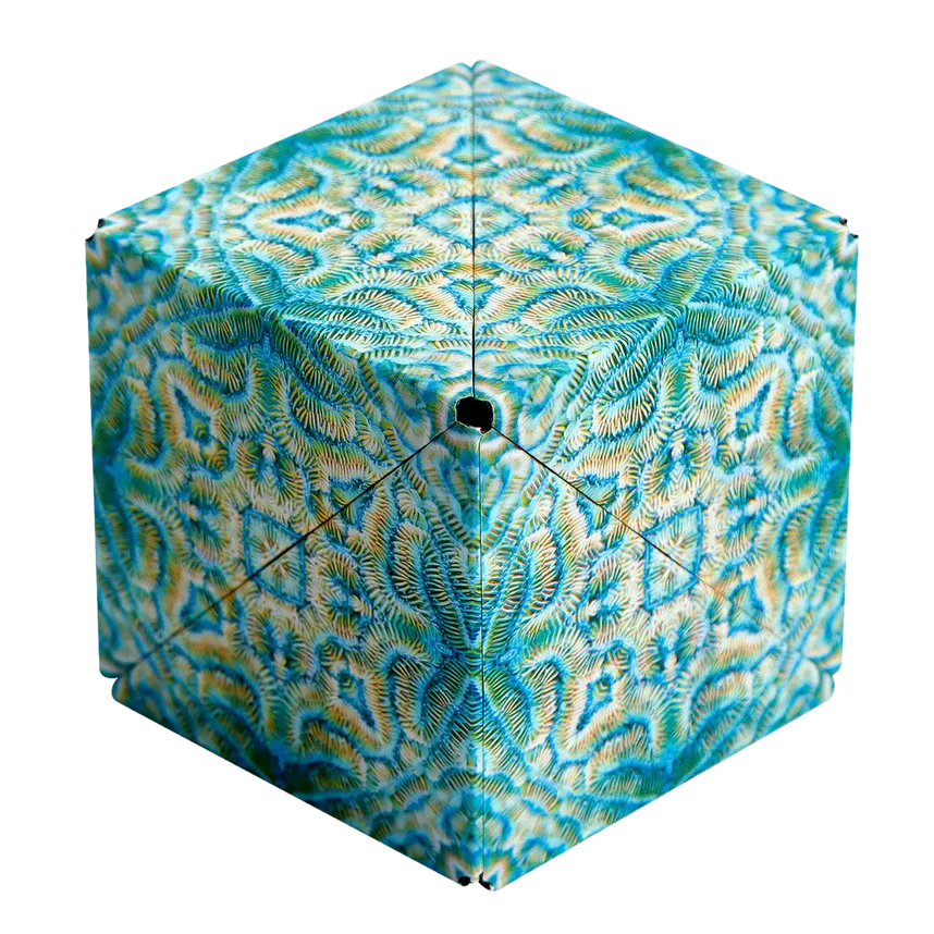 Joc puzzle magnetic cu schimbare de formă - Shashibo