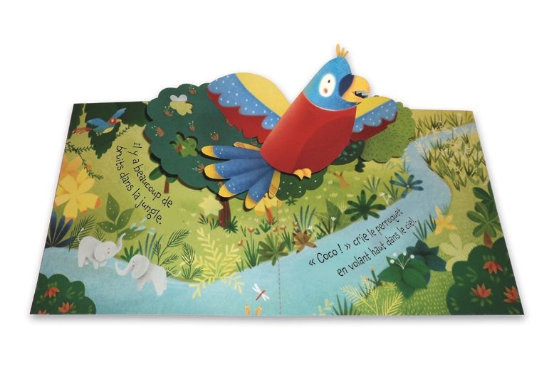 Carte 3D - Pop-up Jungle, Usborne