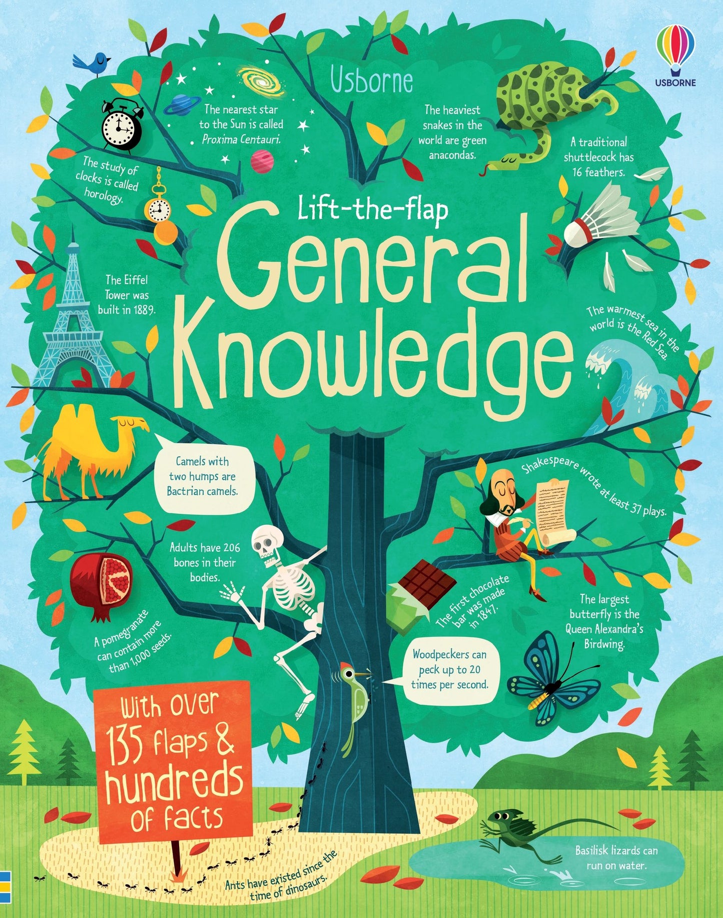 Carte copii - Lift-The-Flap General Knowledge, Usborne