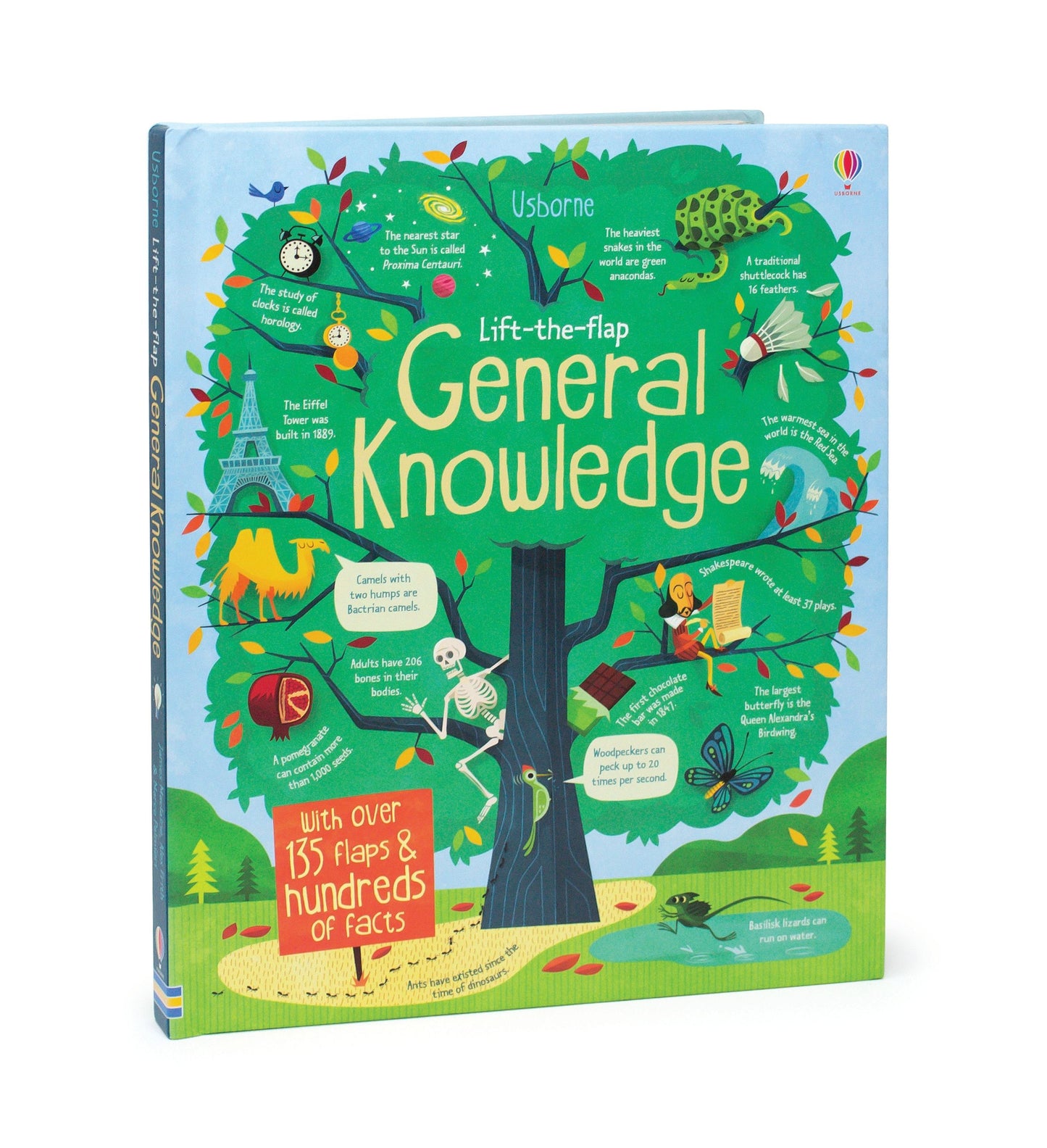 Carte copii - Lift-The-Flap General Knowledge, Usborne