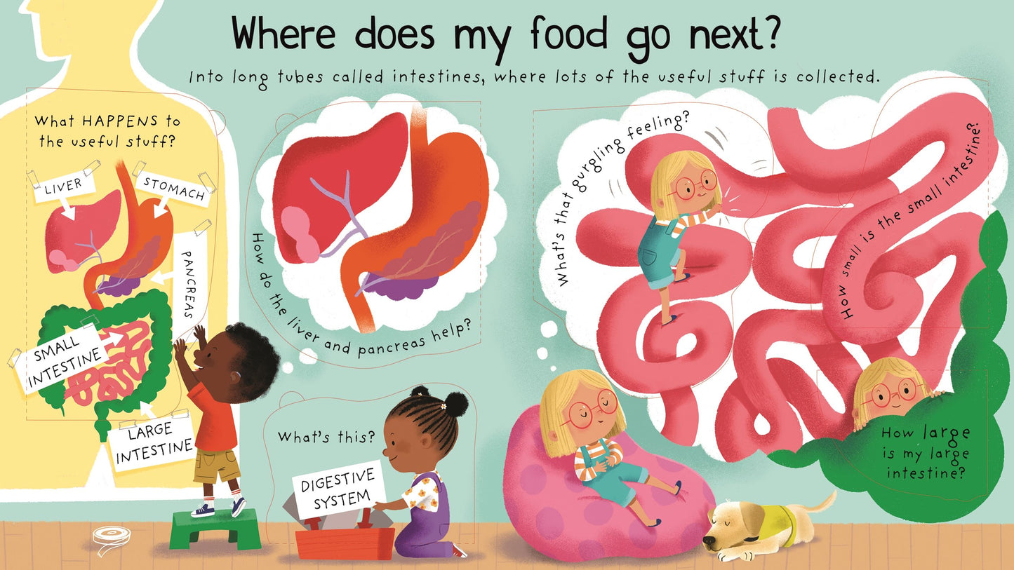 Carte copii - First Questions And Answers: Where Does My Food Go?, Usborne