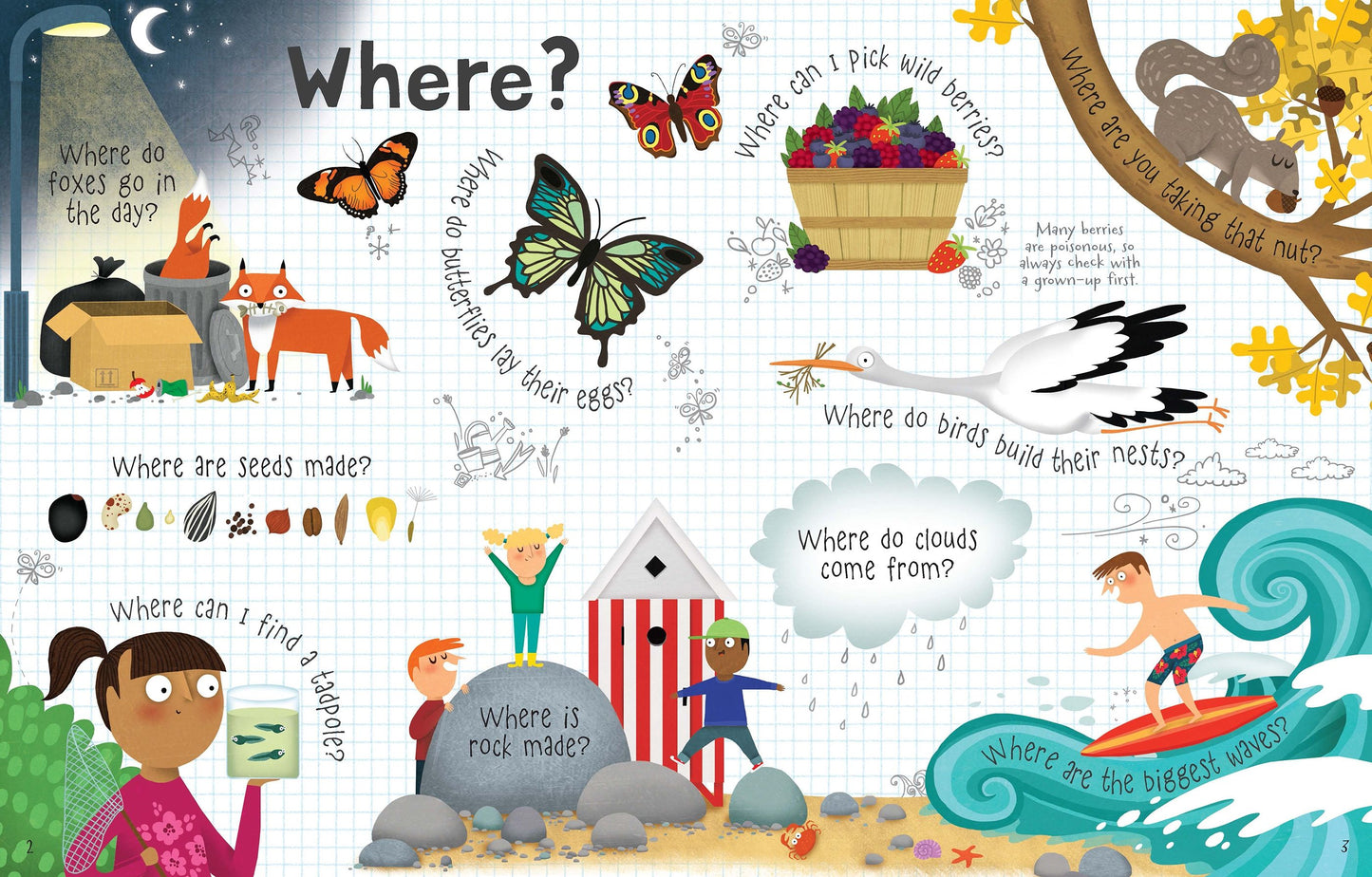 Carte copii - Ltf Questions & Answers Nature, Usborne