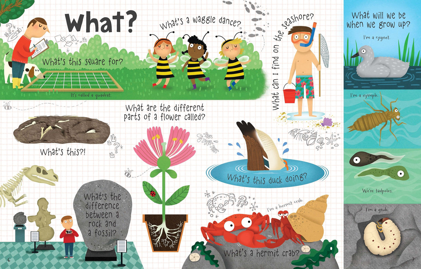 Carte copii - Ltf Questions & Answers Nature, Usborne