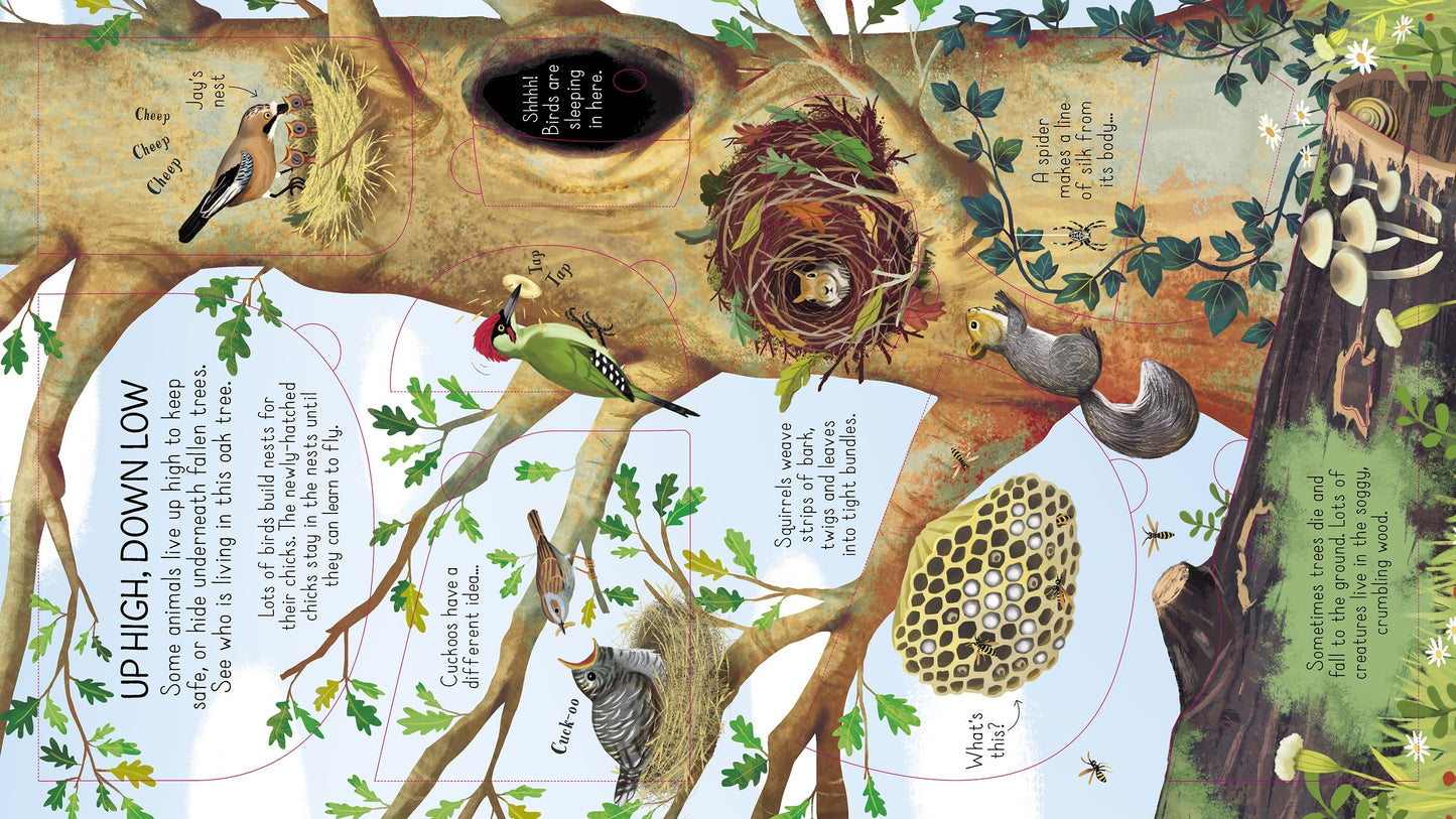 Carte copii - Look Inside Animal Homes, Usborne