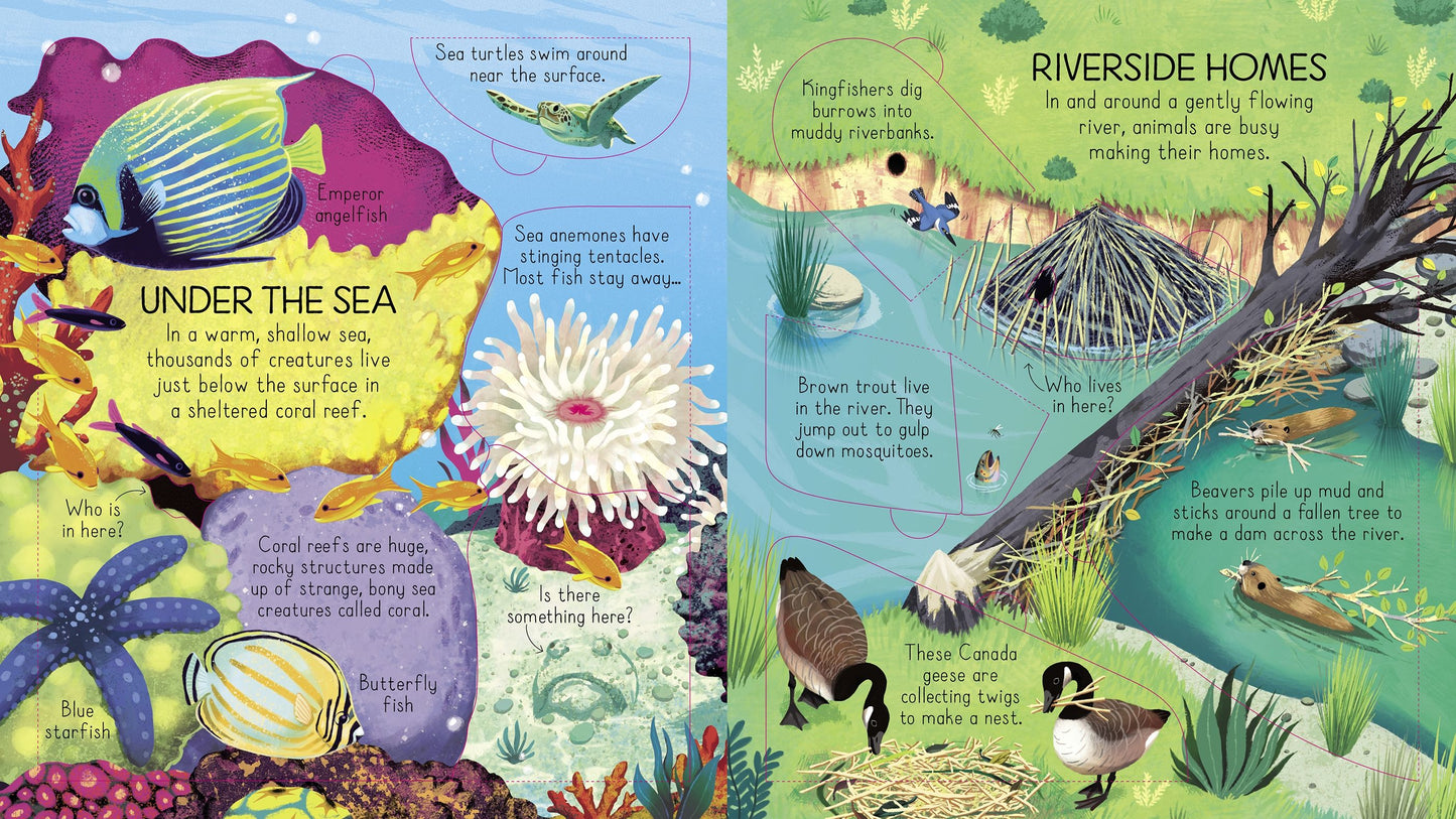 Carte copii - Look Inside Animal Homes, Usborne