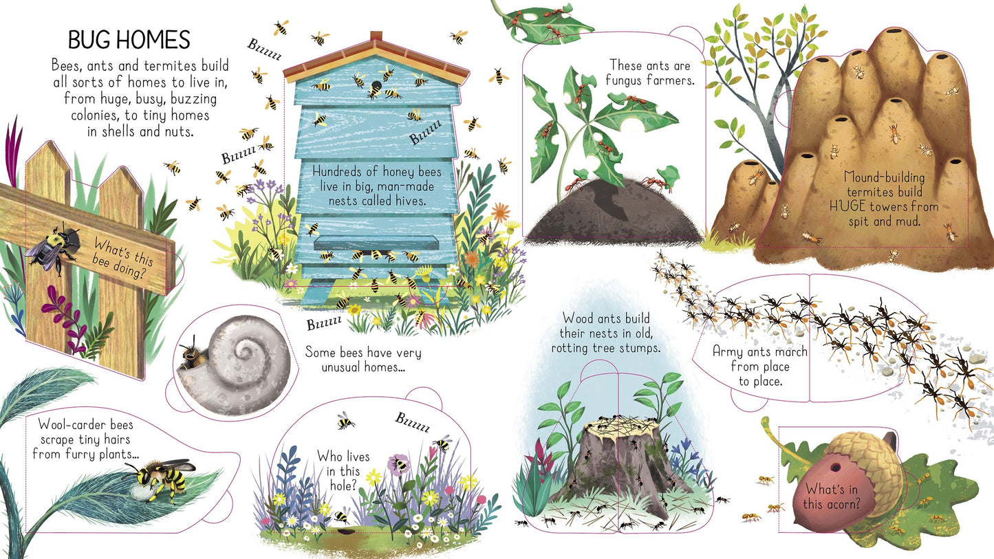Carte copii - Look Inside Animal Homes, Usborne