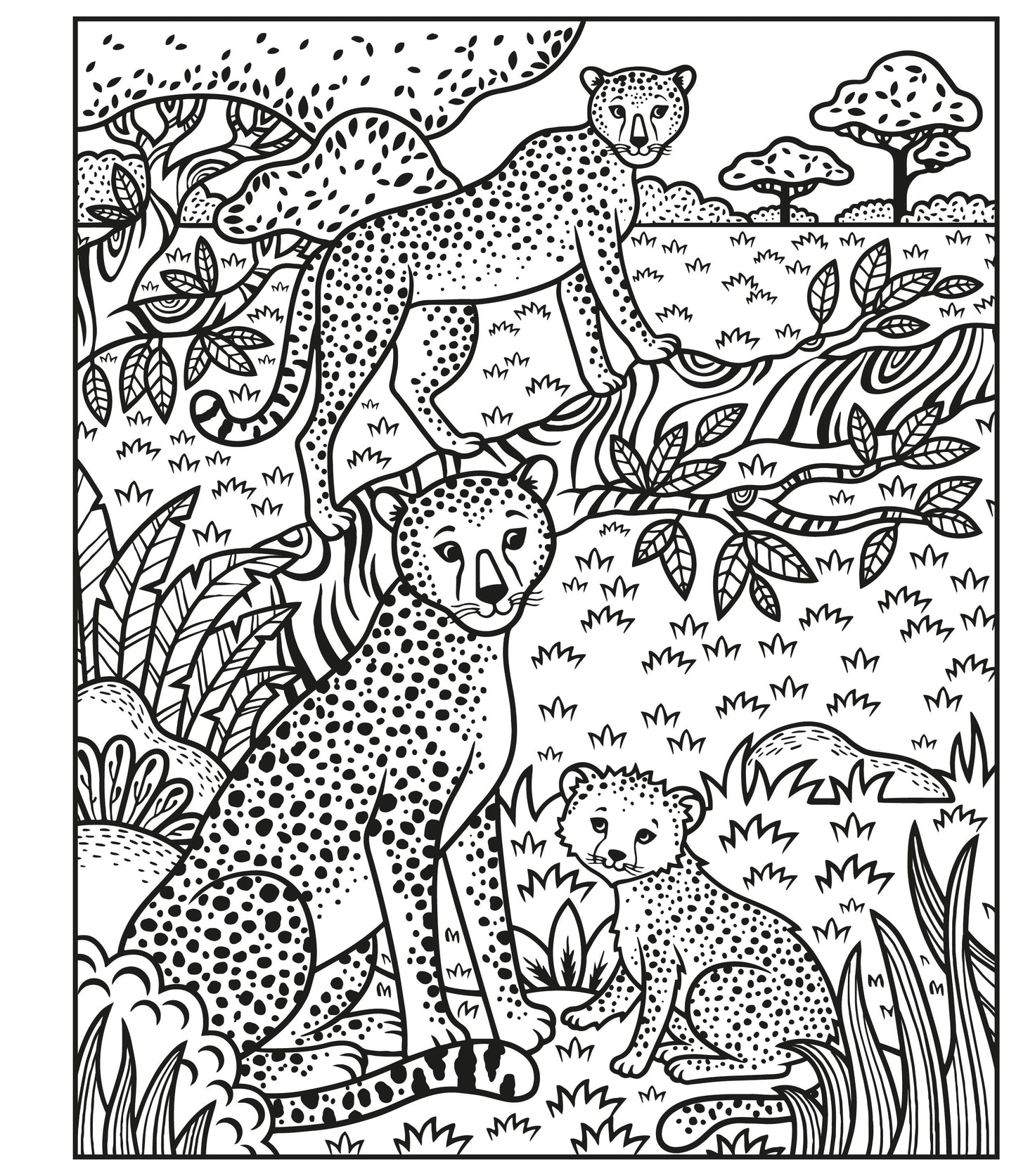 Carte pictura cu apa - Animals Magic Painting Book, Usborne