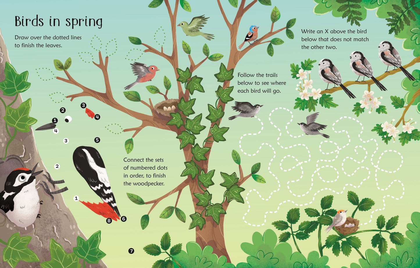 Carte educativă de activitate - Wipe-Clean Woodland Activities, Usborne, 3 ani+