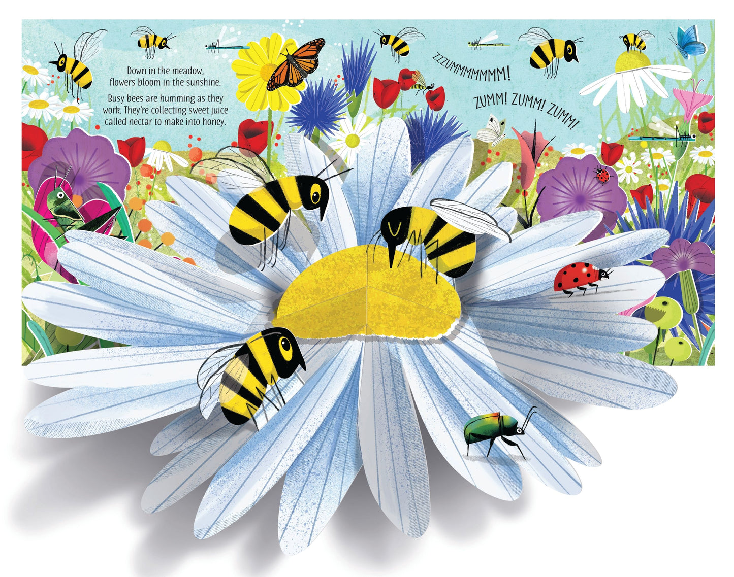 Carte 3D - Pop-Up Nature, Usborne