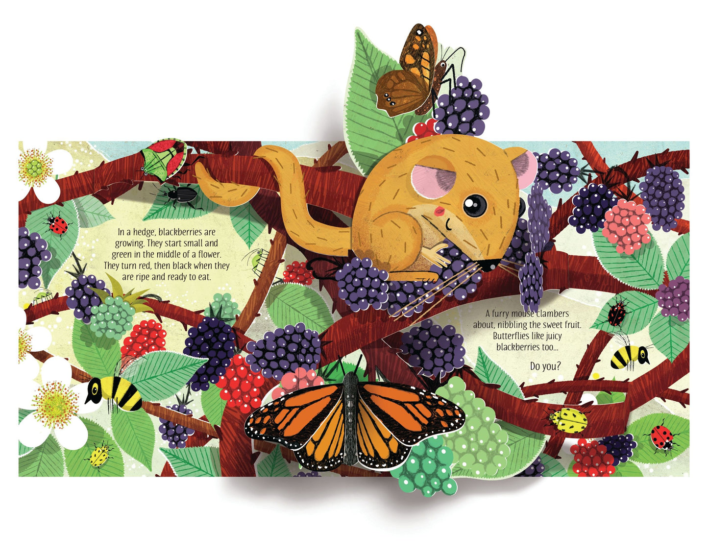 Carte 3D - Pop-Up Nature, Usborne