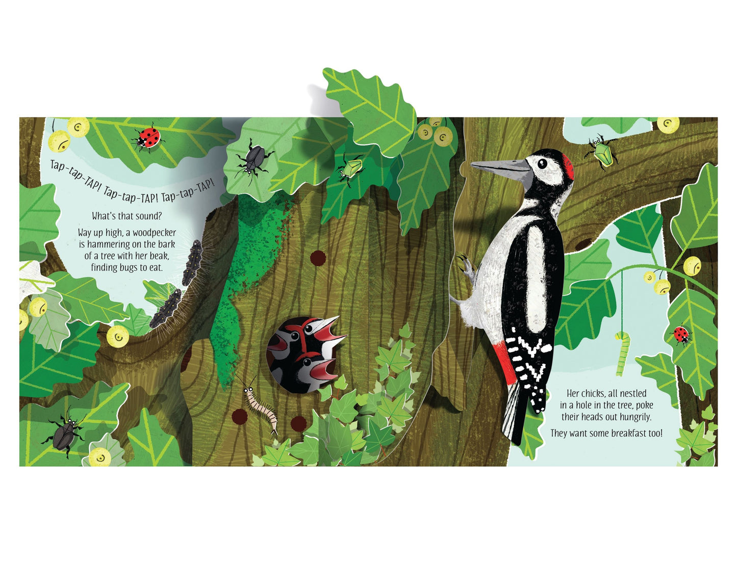 Carte 3D - Pop-Up Nature, Usborne