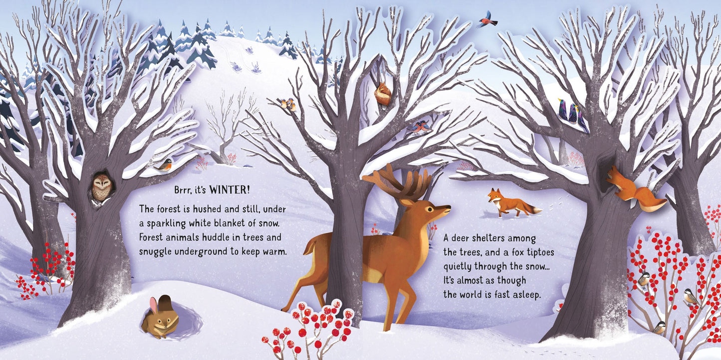 Carte 3D - Pop-Up Seasons, Usborne