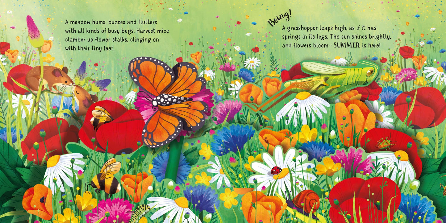 Carte 3D - Pop-Up Seasons, Usborne