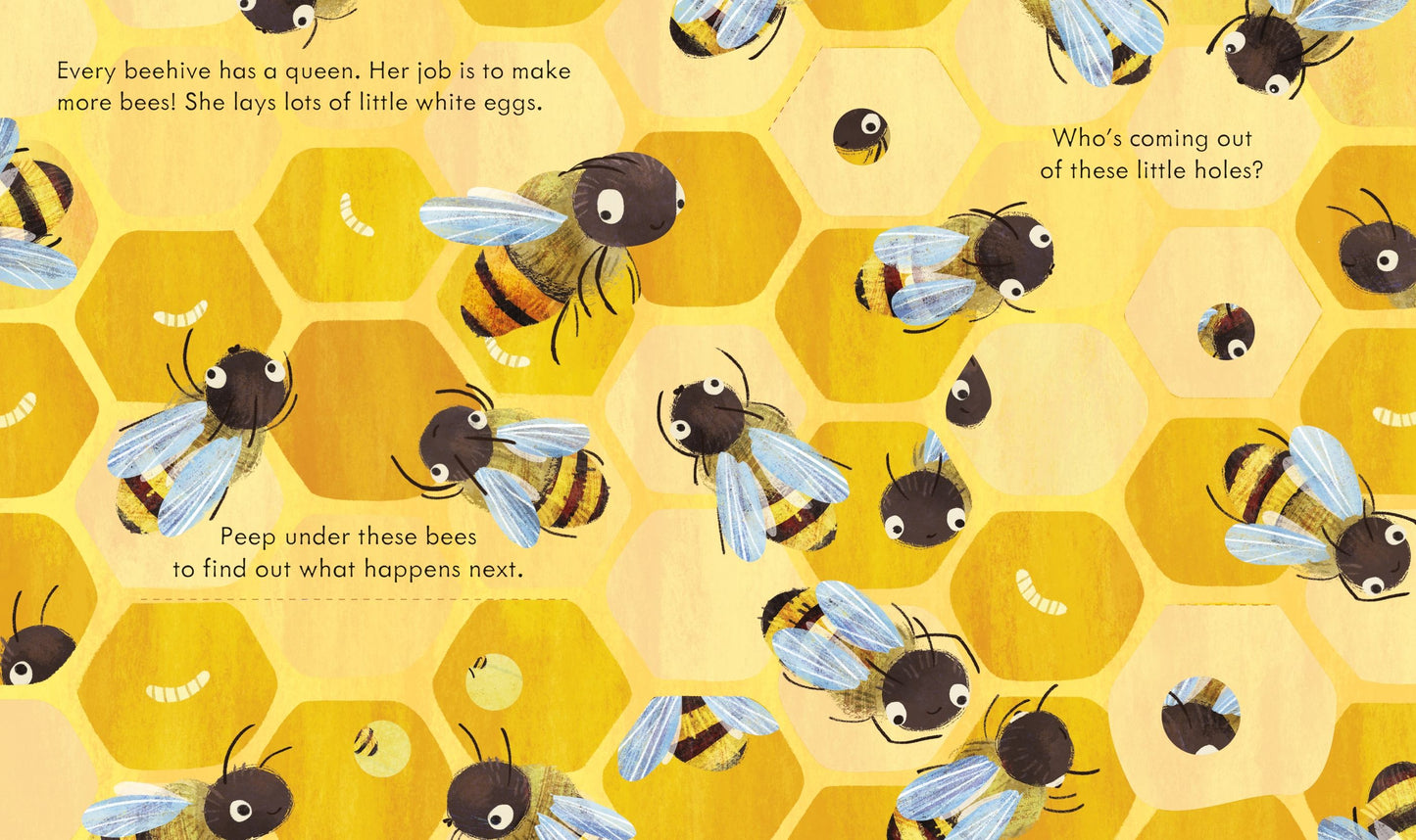 Carte clapete - Peep Inside a Beehive, Usborne