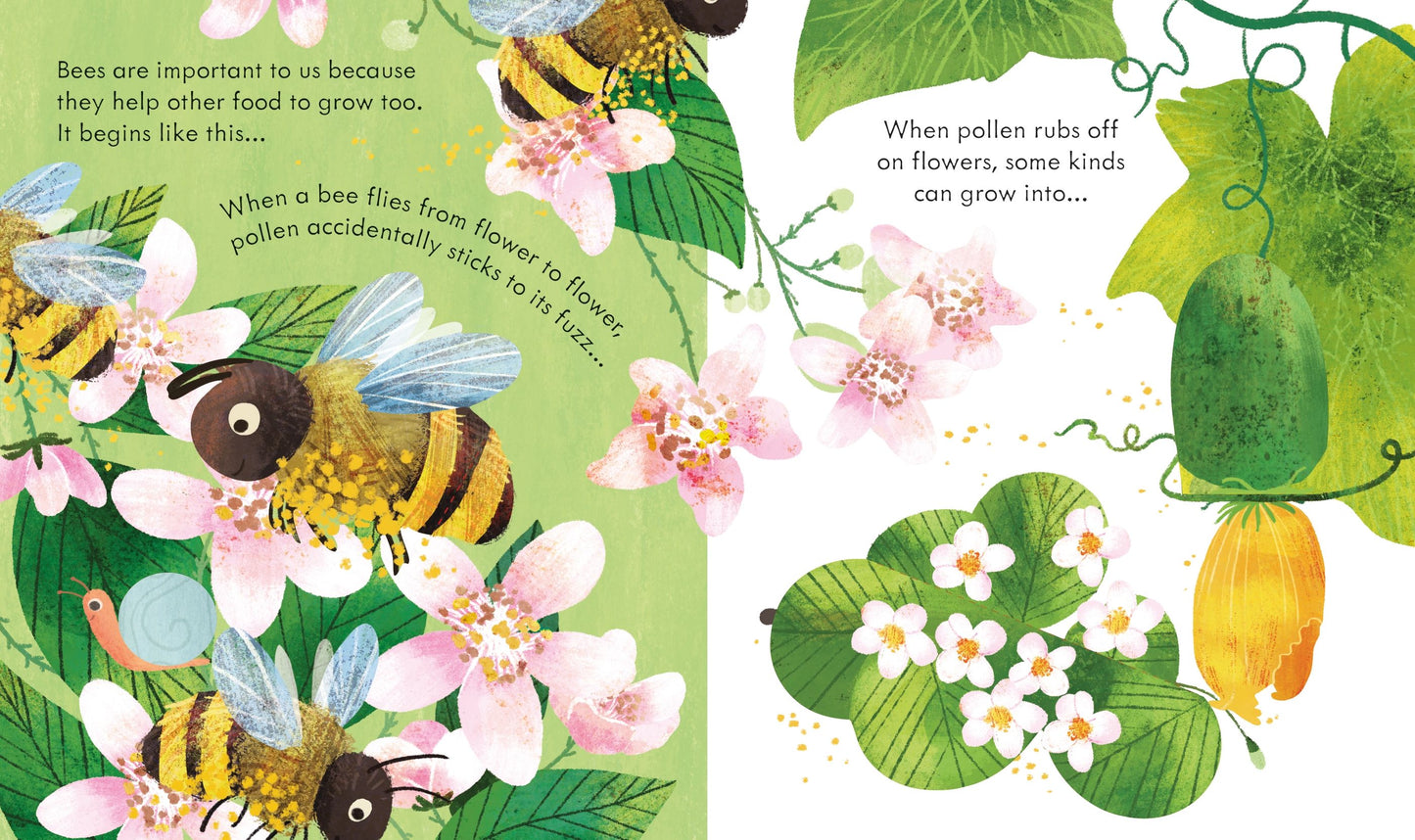 Carte clapete - Peep Inside a Beehive, Usborne