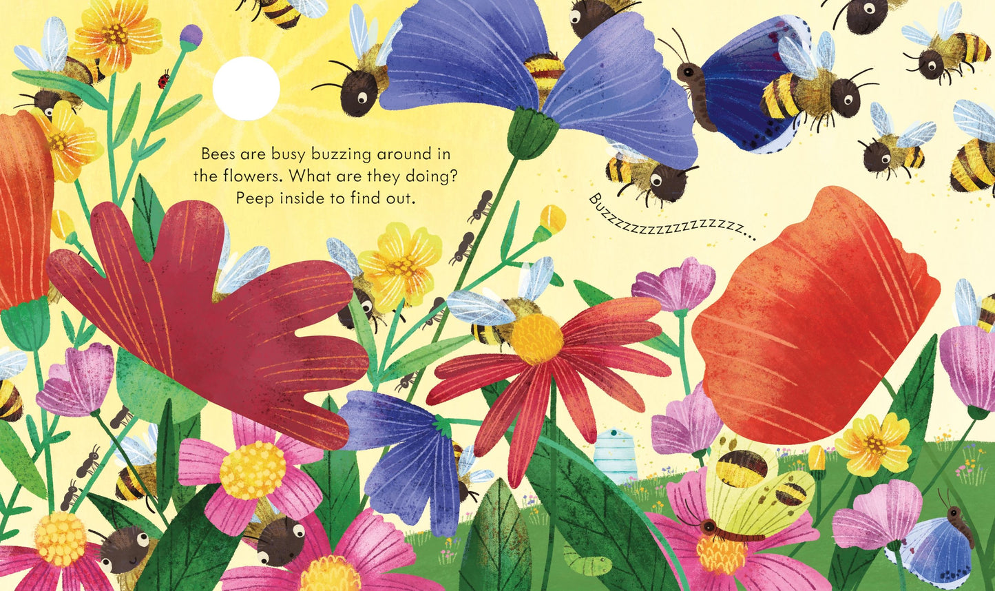 Carte clapete - Peep Inside a Beehive, Usborne