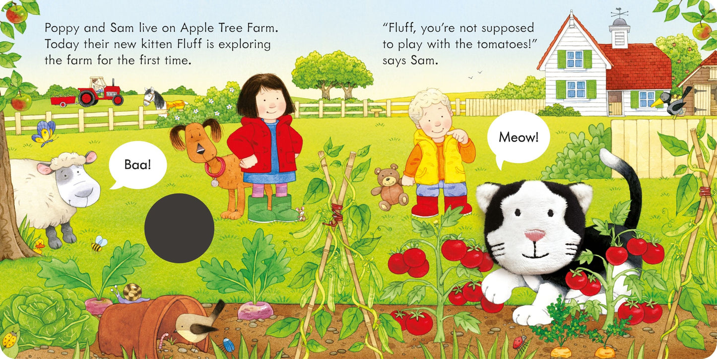 Carte copii - Poppy and Sam and the Kitten, Usborne