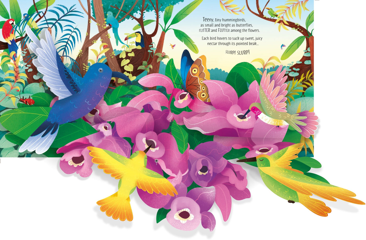 Carte 3D - Pop-Up Birds, Usborne