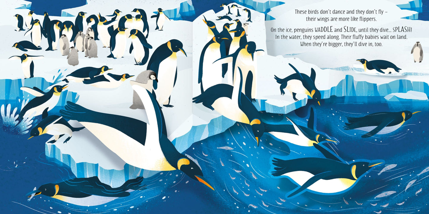 Carte 3D - Pop-Up Birds, Usborne