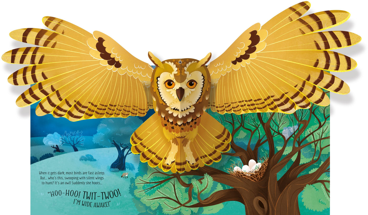 Carte 3D - Pop-Up Birds, Usborne