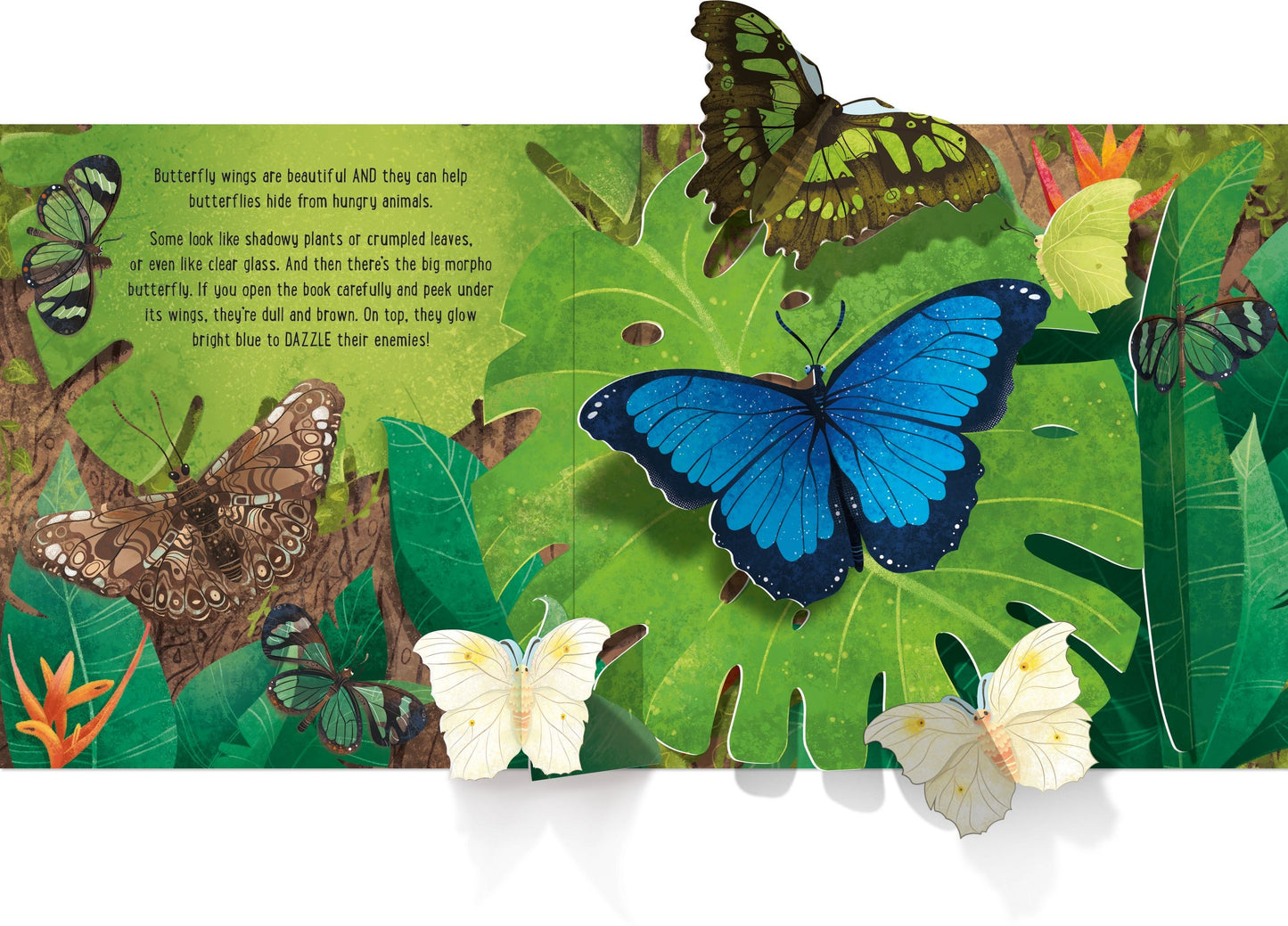 Carte 3D - Pop-Up Butterflies, Usborne