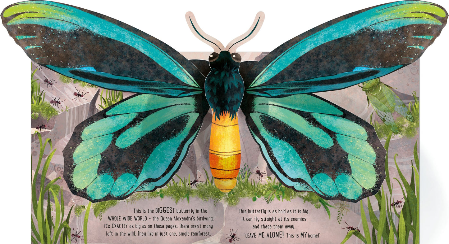 Carte 3D - Pop-Up Butterflies, Usborne